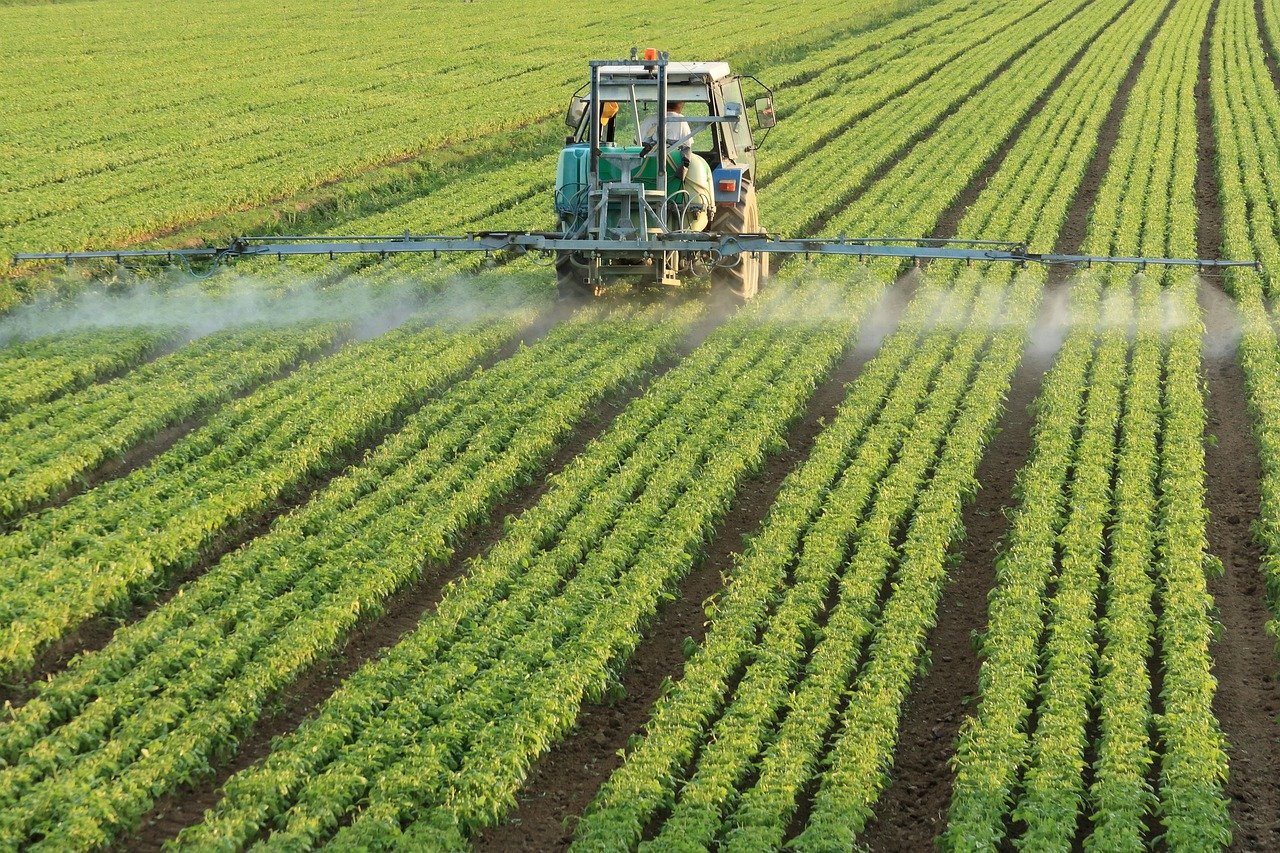 Benefits and Challenges of Intercropping in Sustainable Farming